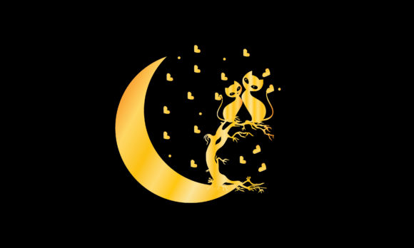 Cat Design on Moon Embroidery Review